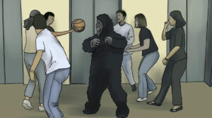 Unmasking the Gorilla
